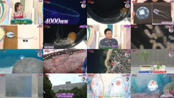 240824 Villain no Iibun Selection – ex-AKB48 Oya Shizuka – HD.mp4