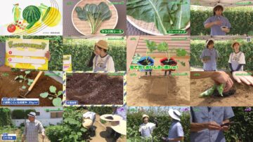 240825 Syumi no Engei Yasai no Jikan – ex-AKB48 Oya Shizuka – HD.mp4