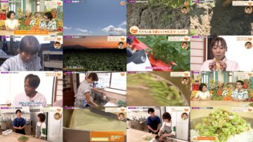 240825 Umai! – ex-SKE48 Suda Akari – HD.mp4