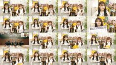 240828 Nekojita SHOWROOM – Nogizaka46 Matsuo Miyu, Yakubo Mio – FHD.mp4