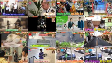 240829 Tanoshiku Manabu! Sekai Douga News – Sakurazaka46 Ioki Mao – HD.mp4