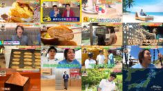 240830 Doyou wa Nani Suru! – ex-AKB48 Oya Shizuka – HD.mp4