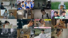 240907 GO HOME Keishicho Mimoto Fumeinin Sodanshitsu 07 – ex-AKB48 Oshima Yuko – HD.mp4