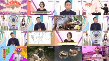 240907 Villain no Iibun Selection – ex-SKE48 Suda Akari – HD.mp4