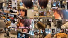 240918 [Cat Cafe] Karin Plays With Cats – Sakurazaka46 Fujiyoshi Karin – FHD.mp4