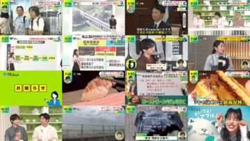 240920 DayDay. – ex-NMB48 Shibuya Nagisa – HD.mp4