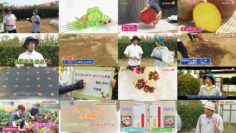 240922 Syumi no Engei Yasai no Jikan – ex-AKB48 Oya Shizuka – HD.mp4