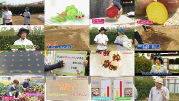 240922 Syumi no Engei Yasai no Jikan – ex-AKB48 Oya Shizuka – HD.mp4