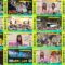 240924 DayDay. Hinatazaka46 – cut – FHD.mp4