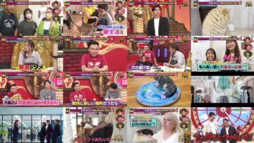 240928 Kamaitachi no Kijou no Kuuronjou ~Yatte Mitara Kou Naru! … Hazu~ – ex-NMB48 Shibuya Nagisa – HD.mp4