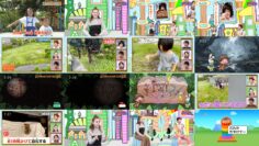 241001 Oha! Yo~idon – ex-HKT48 Murashige Anna – HD.mp4