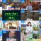 241002 THE TIME – Nogizaka46 Ichinose Miku – HD.mp4