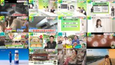 241004 DayDay. – ex-NMB48 Shibuya Nagisa – HD.mp4