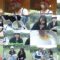 241004 NMB48 Girls Campers 1 – NMB48 Abe Wakana, Aobara Waka, Nishi Yuma – FHD.mp4