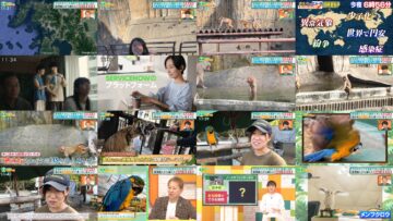 241005 Nakai Masahiro no Doyoubi na Kai 1130 – Hinatazaka46 Matsuda Konoka – HD.mp4