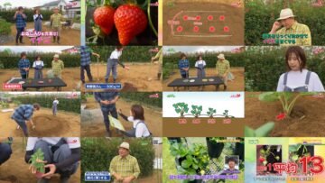 241013 Syumi no Engei Yasai no Jikan – ex-AKB48 Oya Shizuka – HD.mp4