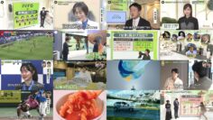 241015 news zero – ex-Keyakizaka46 Nagahama Neru – HD.mp4