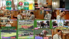 241017 Koryouriya 3 – ex-AKB48 Kashiwagi Yuki – HD.mp4