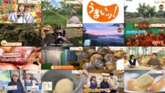 241020 Umai! – ex-SKE48 Suda Akari – HD.mp4