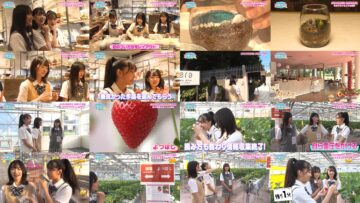 241025 Make A Moss Terrarium And Discover Your Talents! [Yokohama Red Brick Warehouse] – AKB48 Narita Kohina, Yamaguchi Yui – FHD.mp4