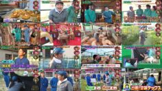 241026 Kamaitachi no Kijou no Kuuronjou ~Yatte Mitara Kou Naru! … Hazu~ – ex-NMB48 Shibuya Nagisa – HD.mp4