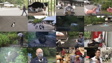 241027 Document 72 Hours – ex-AKB48 Kawaei Rina [Narration] – HD.mp4