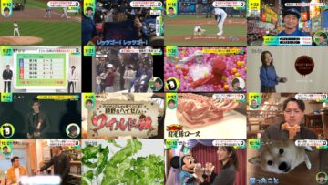 241101 DayDay. – ex-NMB48 Shibuya Nagisa – HD.mp4