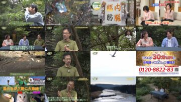 241102 TShinka no Kiseki – ex-AKB48 Oya Shizuka – HD.mp4