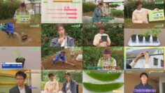 241103 Syumi no Engei Yasai no Jikan – ex-AKB48 Oya Shizuka – HD.mp4