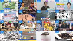 241106 THE TIME – Nogizaka46 Ichinose Miku – HD.mp4