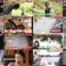 241107 Naze Soko – ex-Nogizaka46 Akimoto Manatsu – HD.mp4