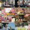 241107 Purebato!! – Sakurazaka46 Ozono Rei – HD.mp4