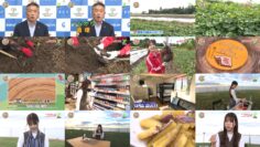 241108 Shichouson Tekuteku Sanpo – ex-AKB48 Yoshikawa Nanase – HD.mp4