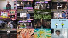 241109 Best Hits Kayousai Special Edition – Nogizaka46 – HD.mp4