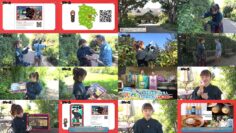 241109 Nazoru! Hobo Yokohama Machi Aruki 2 – ex-Nogizaka46 Ito Karin – HD.mp4