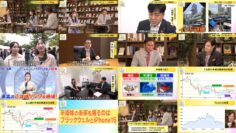 241111 Mane No Manabi – ex-AKB48 Muto Tomu – HD.mp4