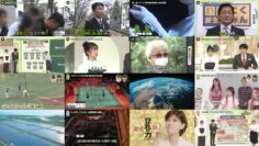 241112 news zero – ex-Keyakizaka46 Nagahama Neru – HD.mp4