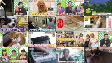 241116 Neko Inu Wide Show – ex-AKB48 Takahashi Minami – HD.mp4