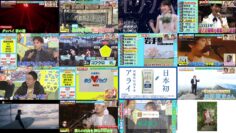 241126 Kenmin Song Eiyo-shou – ex-AKB48 Kashiwagi Yuki – HD.mp4