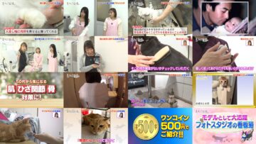 241127 Neko Jiman – ex-AKB48 Takahashi Minami, Kuramochi Asuka – HD.mp4