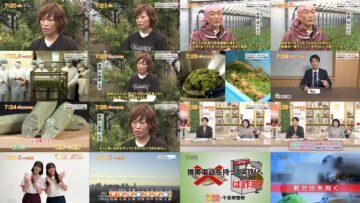 241128 Chiba Asa Live Morning Compass 0645 – ex-AKB48 Yoshikawa Nanase – HD.mp4