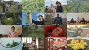 241130 Junsai Biyori  – ex-AKB48 Onishi Momoka – HD.mp4