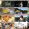 241130 Mayoyu Paradise – ex-HKT48 Murashige Anna – HD.mp4
