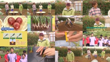 241201 Syumi no Engei Yasai no Jikan – ex-AKB48 Oya Shizuka – HD.mp4