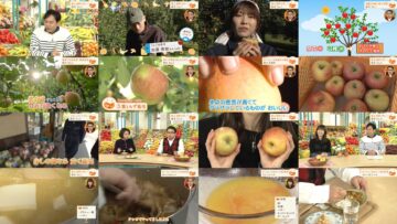 241201 Umai! – ex-AKB48 Yokoyama Yui – HD.mp4