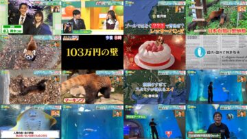 241207 Nakai Masahiro no Doyoubi na Kai – ex-AKB48 Yokoyama Yui – HD.mp4