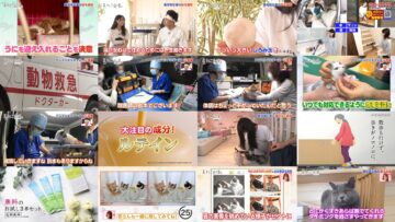 241207 Neko Jiman – ex-AKB48 Takahashi Minami, Kuramochi Asuka – HD.mp4