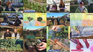 241215 Syumi no Engei Yasai no Jikan – ex-AKB48 Oya Shizuka – HD.mp4