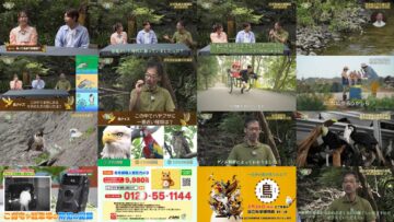 250105 Kiseki no Shinka – ex-AKB48 Oya Shizuka – HD.mp4