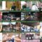 250111 Degawa Tetsurou no Juuden Sasete Moraemasen ka – ex-AKB48 Kashiwagi Yuki – HD.mp4